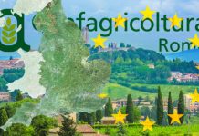 Brexit news: Confagricoltura warn Hard Brexit would DEVASTATE Italy economy | Politics | News – UK