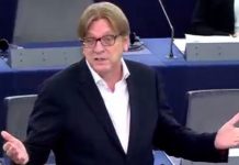 Guy Verhofstadt MOCKS Theresa May’s divided Cabinet with World Cup gag | Politics | News – UK