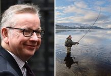 Brexit news: Michael Gove to outline post-Brexit plan to SCRAP EU Fisheries Policy | Politics | News – UK