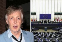 EU copyright row: Paul McCartney plea ignored in European Parliament | Politics | News – UK