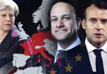 Brexit no deal MAPPED: How EU countries are secretly preparing | Politics | News – UK