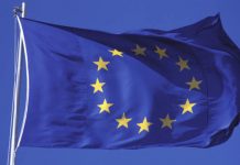 MEPs cash in but forget staff | Politics | News – UK