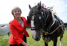 Animal charm…PM boost for farmers – UK