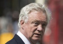 Davis back-up strategy wins Leave support | Politics | News – UK