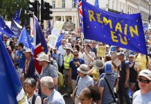 brexit news stockpiling food sandwich shortage david jones | Politics | News – UK