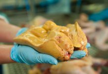 French farmers ‘could block post-Brexit foie gras ban’ – UK