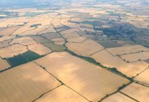 Farmers to hold urgent summit over ‘crippling impact’ of heatwave – UK