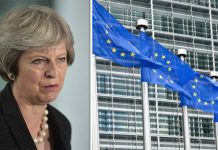 Brexit news: EU citizens should leave if they don’t have a job in 3 months – businesses | Politics | News – UK
