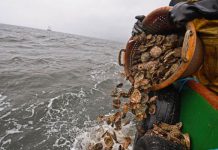 Brexit news: May’s plan for UK fishing ‘to keep Britain shackled to EU’ | Politics | News – UK