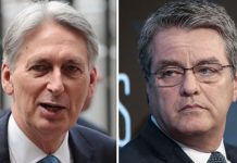Brexit news: Philip Hammond fears dismissed by WTO chief Roberto Azevedo over no deal | Politics | News – UK