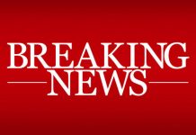 Alex Salmond RESIGNS: Former SNP leader quits after allegations of sexual harassment | Politics | News – UK