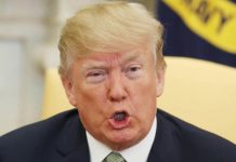 Donald Trump threatens to pull US out of WTO | Politics | News – UK