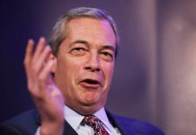 Nigel Farage: I have no MP plans | Politics | News – UK