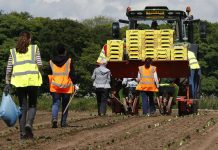 Scrap immigration targets after Brexit, CBI says – UK
