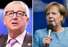 Angela Merkel news: German Chancellor should be LEADER of Europe, says ex-Labour stalwart | Politics | News – UK