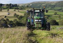 ‘Shoppers to enjoy Brexit price cuts as farming rethink brings cheap food’ | Politics | News – UK