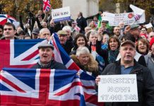 Election watchdogs face demands to resign | Politics | News – UK