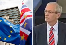 Brexit news: Top Labour MEP advises Remain group how to get second EU referendum | Politics | News – UK
