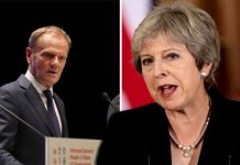 Brexit news: Theresa May has 7,000 civil servant ARMY working on no deal | Politics | News – UK