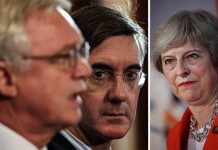 Brexit explained: What is a Canada style Brexit deal? What did the IEA proposal say? | Politics | News – UK