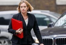 Rudd: Canada-plus would spark revolt | Politics | News – UK