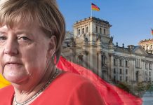 Germany news: Angela Merkel to stand for re-election as CDU leader | Politics | News – UK