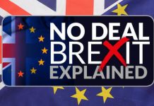 NO DEAL BREXIT EXPLAINED: What could a no-deal Brexit REALLY mean for you and me? | Politics | News – UK