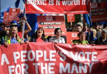 New Brexit referendum should only be on ‘nature’ of a deal – UK