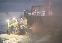 Scallop wars: British and French fail to reach agreement during Paris talks – UK