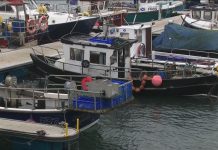 Extra fishing industry protection ‘won’t be ready before Brexit’ – UK