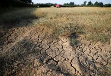 Farmers say government ‘not doing enough’ on ‘exceptional’ drought conditions – UK