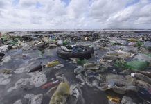 UK to call for third of world’s oceans to be protected by 2030 – UK