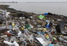 Liberal Democrats call for single-use plastics ban with three-year target for elimination – UK