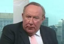 Andrew Neil: Boris Johnson backed to appoint veteran broadcaster as BBC chairman | UK | News (Reports)