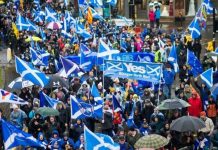 Andrew Neil hits out at SNP as he highlights critical flaw in Scottish independence bid | UK | News (Reports)