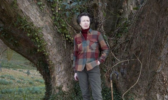 Anne at 70… is she the best monarch we’ll never have? asks CHRISTOPHER WILSON | Royal | News