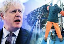 Brexit Britain has ‘opportunity’ to allow fishermen to THRIVE…but type of EU deal is key | UK | News (Reports)