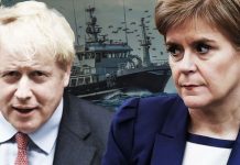 Brexit OWN GOAL: Brexiteer admits HUGE mistake by No10 has allowed EU to make major gains | UK | News (Reports)