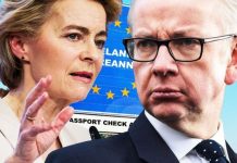 Brexit U-turn: How Gove’s proposal ‘keeps Britain subject to EU rules’ | UK | News (Reports)