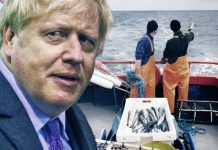 Brexit fisheries row: Fishermen ‘will feel betrayed’ as UK warned ‘EU will access waters’ | UK | News (Reports)