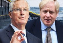 Brexit fisheries row: UK ‘must escape CFP’ as EU increase fish caught in British water | UK | News (Reports)