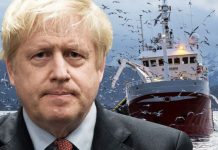 Brexit fishing fury: ‘Inevitable conflict’ with EU fishermen as Brussels refuse to budge | UK | News (Reports)