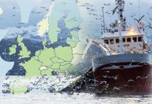 Brexit news: 23 supertrawlers owned by EU states break ban to enter UK preservation areas | UK | News (Reports)