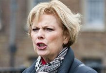 Brexit news: Arch-Remainer Anna Soubry makes yet another Brexit jibe | UK | News (Reports)