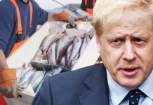 Brexit news: Britons have crucial chance to save and rebuild coastal areas | UK | News (Reports)