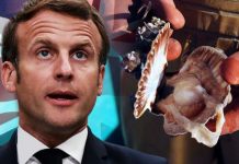Brexit news: Fishing fury as UK warned of new ‘scallop wars’ with French boats | UK | News (Reports)