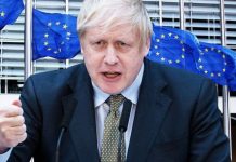 Brexit news: Furious Ann Widdecombe accuses Boris of costly sacrifices for EU trade deal | UK | News (Reports)