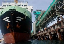 Brexit news: Supertrawlers invading UK waters are staking their claim, says fisherman | UK | News (Reports)
