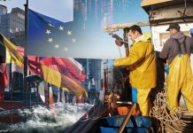Brexit news: The ONE country the UK should model their fishing on to become MAJOR exporter | UK | News (Reports)