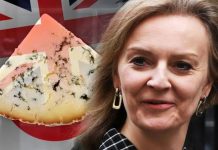 Brexit news: UK sending warning to world as true reason Japan talks stalling exposed | UK | News (Reports)